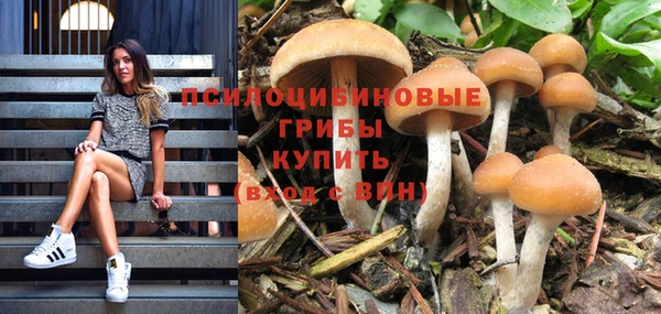 шишки Володарск