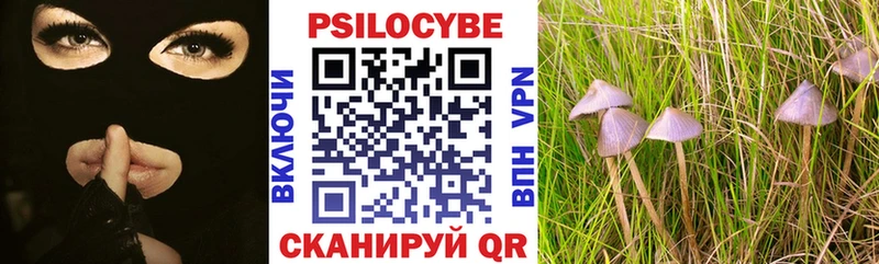 это наркотические препараты  mega ССЫЛКА  Ковров  Псилоцибиновые грибы MAGIC MUSHROOMS 